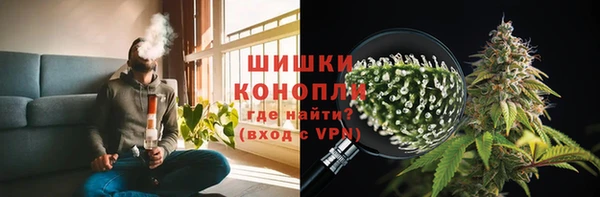 гидра Абаза